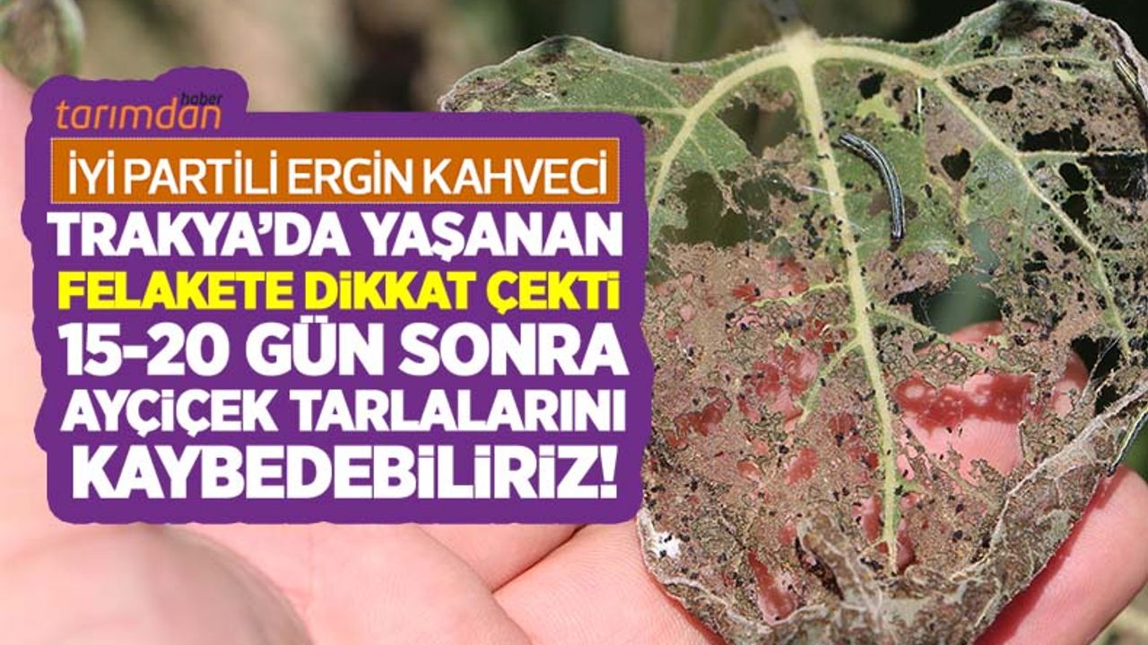 İYİ Partili Ergin Kahveci: Çayır tırtılı felaketine karşı Tarım Bakanlığı topyekün alarma geçirilmeli!