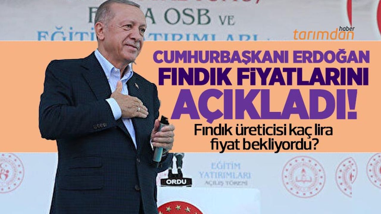 Fındık fiyatları Cumhurbaşkanı Erdoğan tarafından açıklandı! Üretici kaç lira fındık fiyatı bekliyordu?