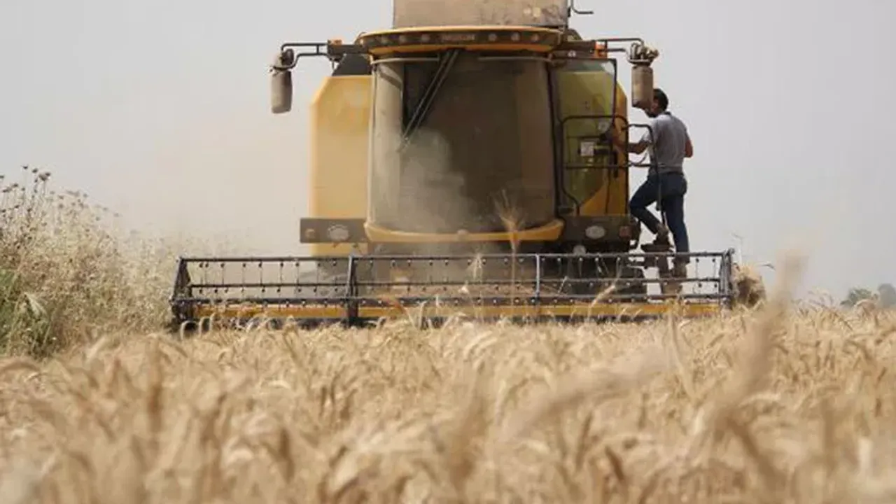 Konya'da buğday üreticisi gelir koruma sigortası kapsamına alındı! Gelir Koruma Sigortası nedir?