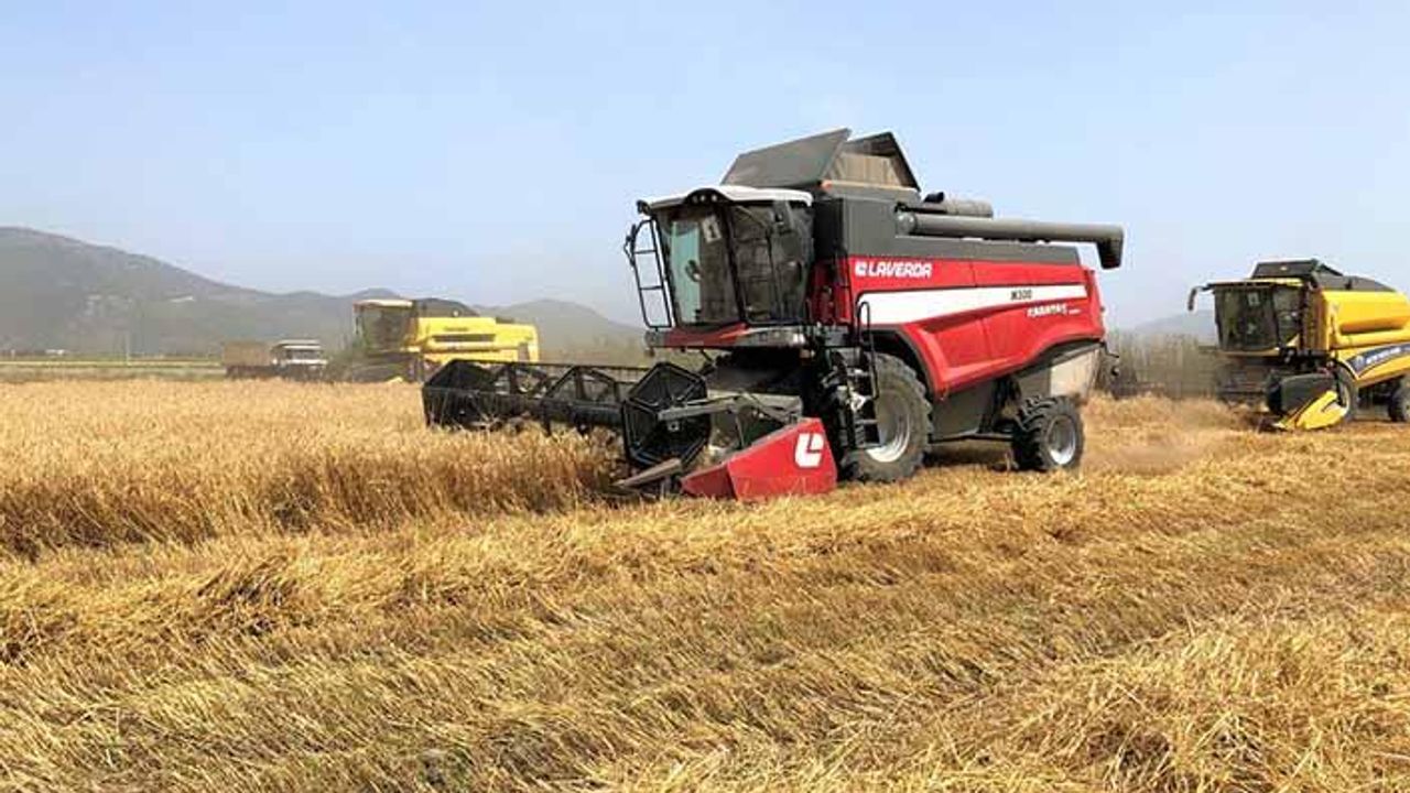 Buğday arpa mısır ithalatında gümrük vergisi yüzde 130'a yükseltildi, buğday fiyatları yükselişe geçti!