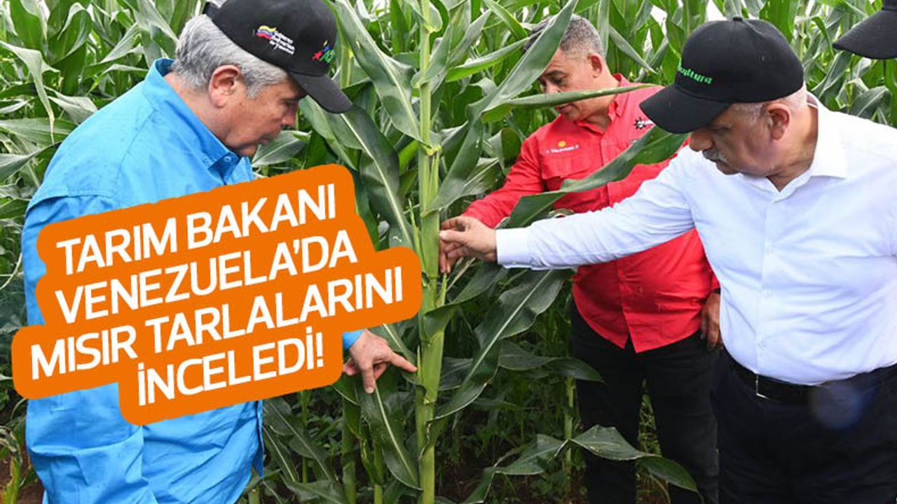 Tarım Bakanı Venezuela'da mısır tarlalarında incelemelerde bulundu!