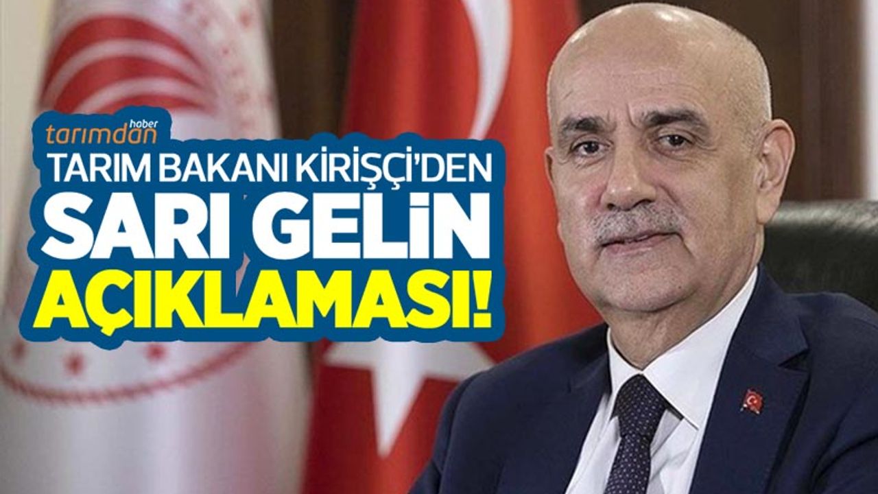 Tarım Bakanı Vahit Kirişçi çayır tırtılı istilasına uğrayan 'Sarı Gelin' ile ilgili açıklamada bulundu!
