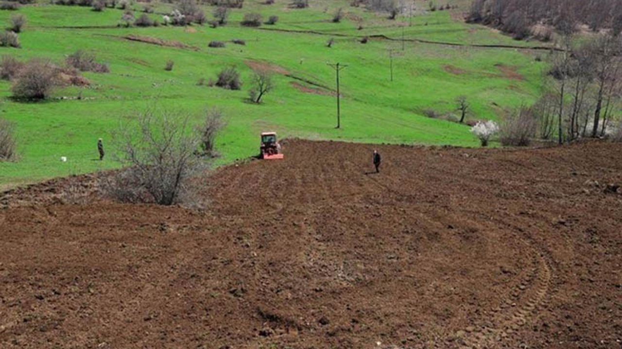 Arazi bankacılığı nedir? Türkiye'de 2 milyon hektar atıl tarım arazisi için ne anlam ifade ediyor?