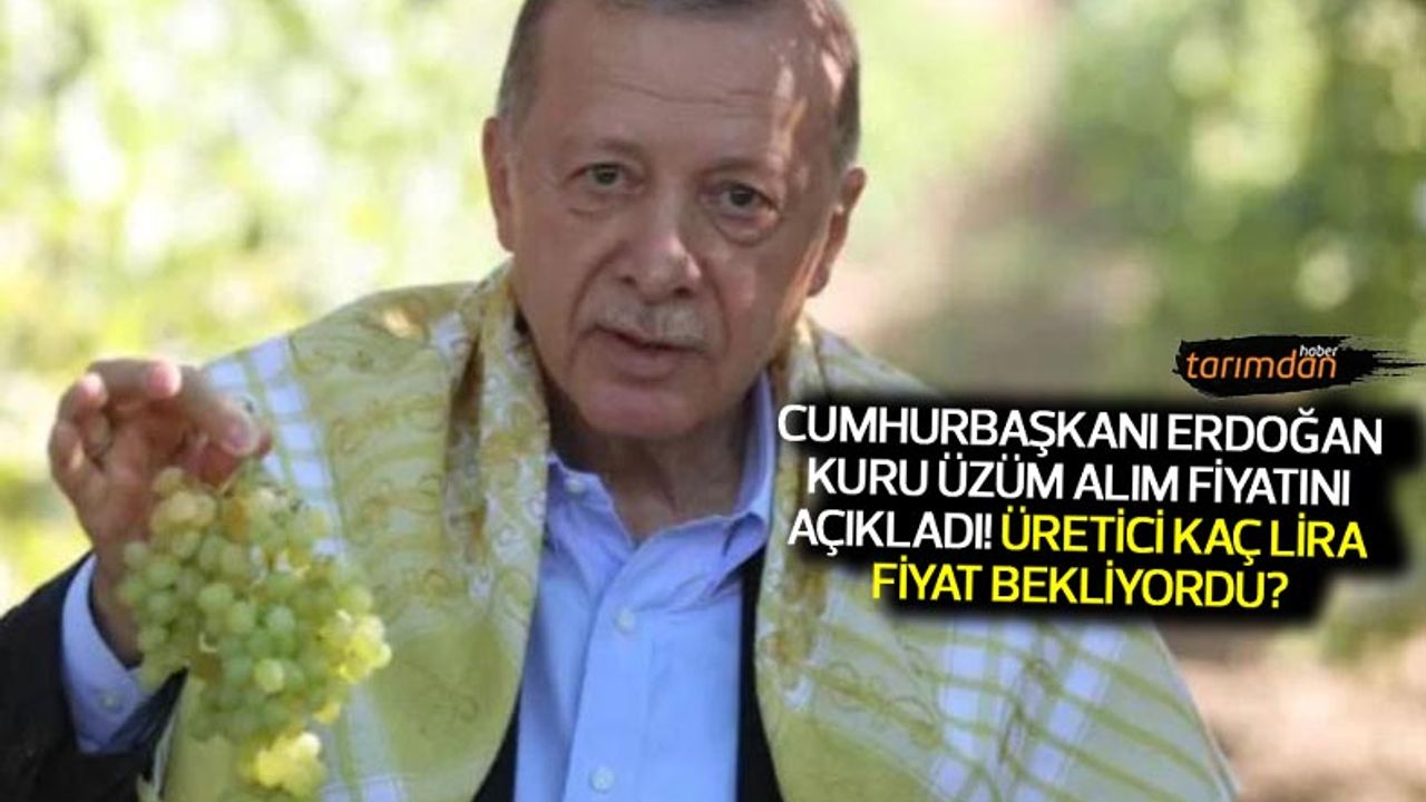 Cumhurbaşkanı Erdoğan kuru üzüm alım fiyatını açıkladı! Üzüm üreticisi kaç lira fiyat bekliyordu?