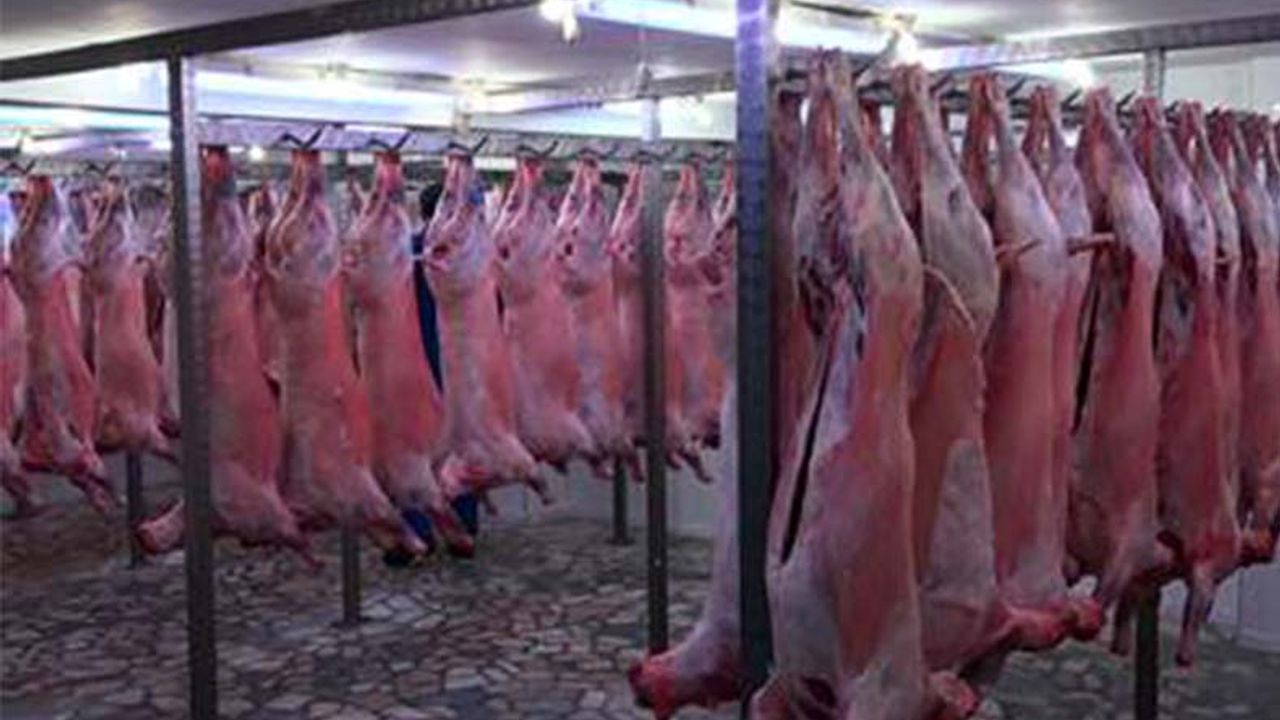 Et ve Süt Kurumu karkas et alım fiyatını artırdı! ESK üreticiden kaç liradan kuzu alacak?