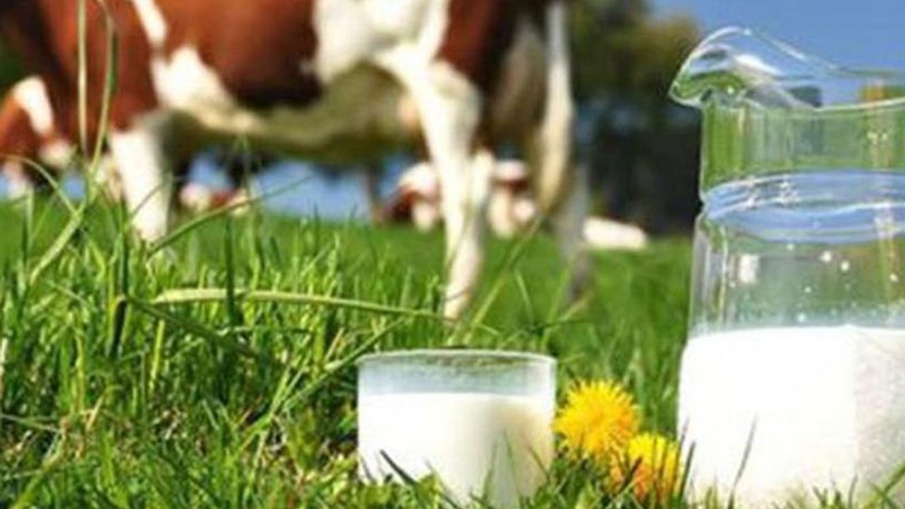 Süt fiyatlarını yakından ilgilendiren maliyet tablosu yayınlandı! Süt fiyatları artırılacak mı?