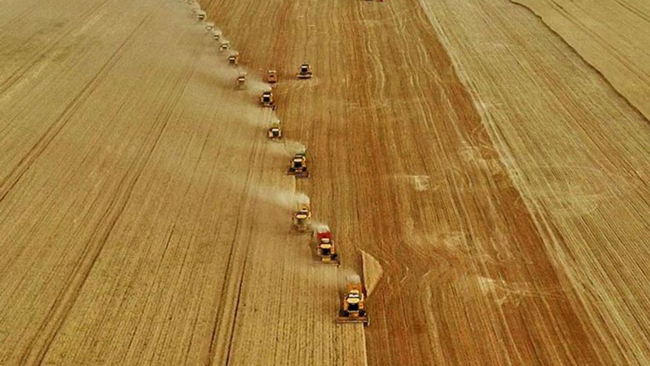 Buğday, arpa, mısır fiyatı ‘3’ü de yükseldi! Ticaret Borsaları ve TÜRİB'te hububat fiyatları kaç liradan işlem görüyor?