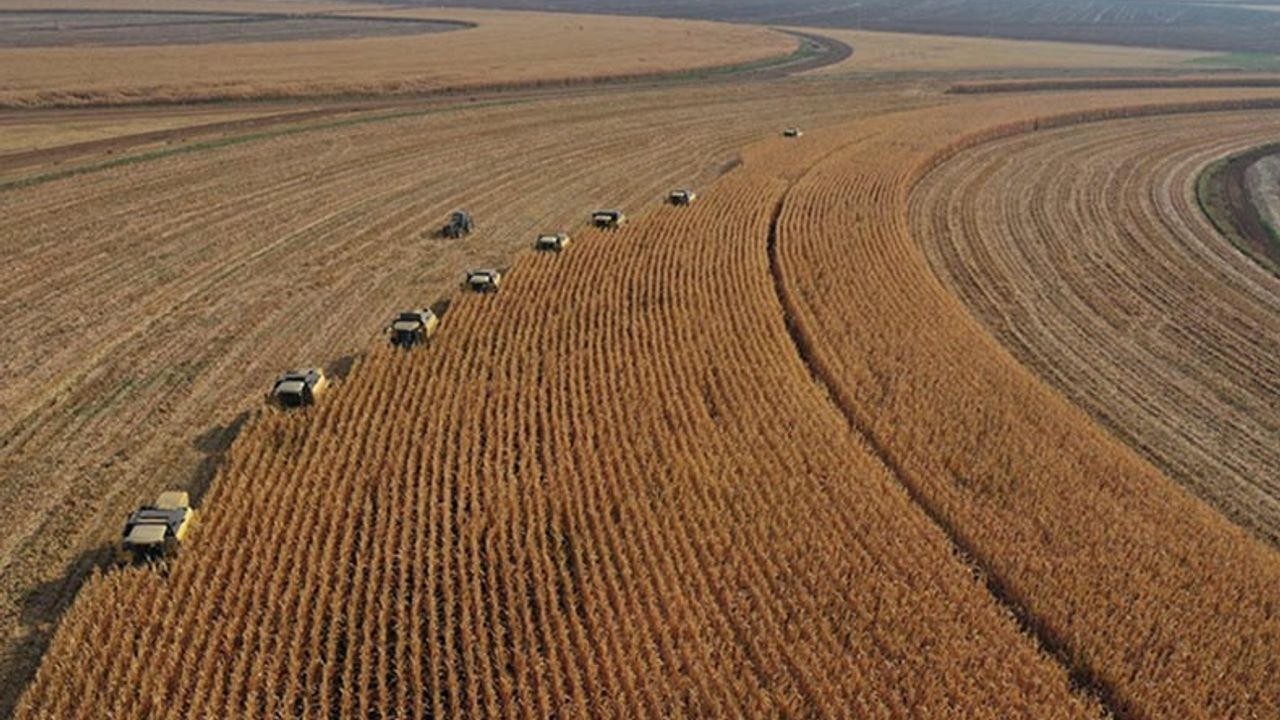 Ticaret Borsaları ve TÜRİB (8 Şubat) buğday, arpa ve mısır fiyatları belli oldu!