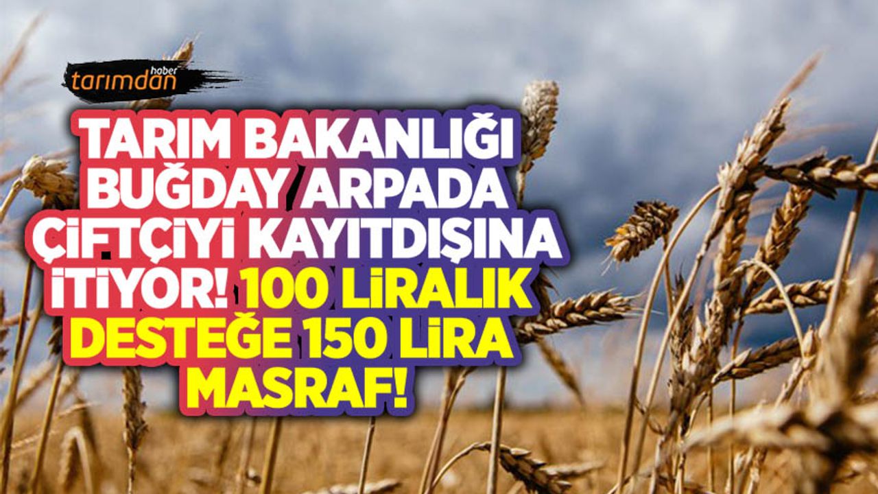 Tarım Bakanlığı buğday arpada çiftçiyi kayıtdışına itiyor! 100 lira desteğe 150 liralık stopaj ve borsa tescil masrafı!