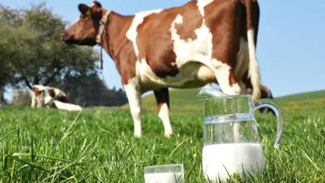 Süt üreticisi litrede 1,85 lira para kazanıyor mu?