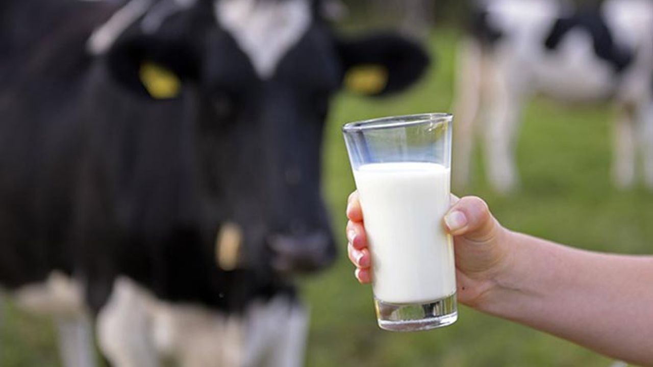 TÜSEDAD maliyetlere göre önerilen Ağustos ayı çiğ süt satış fiyatını 14,6 lira olarak açıkladı!