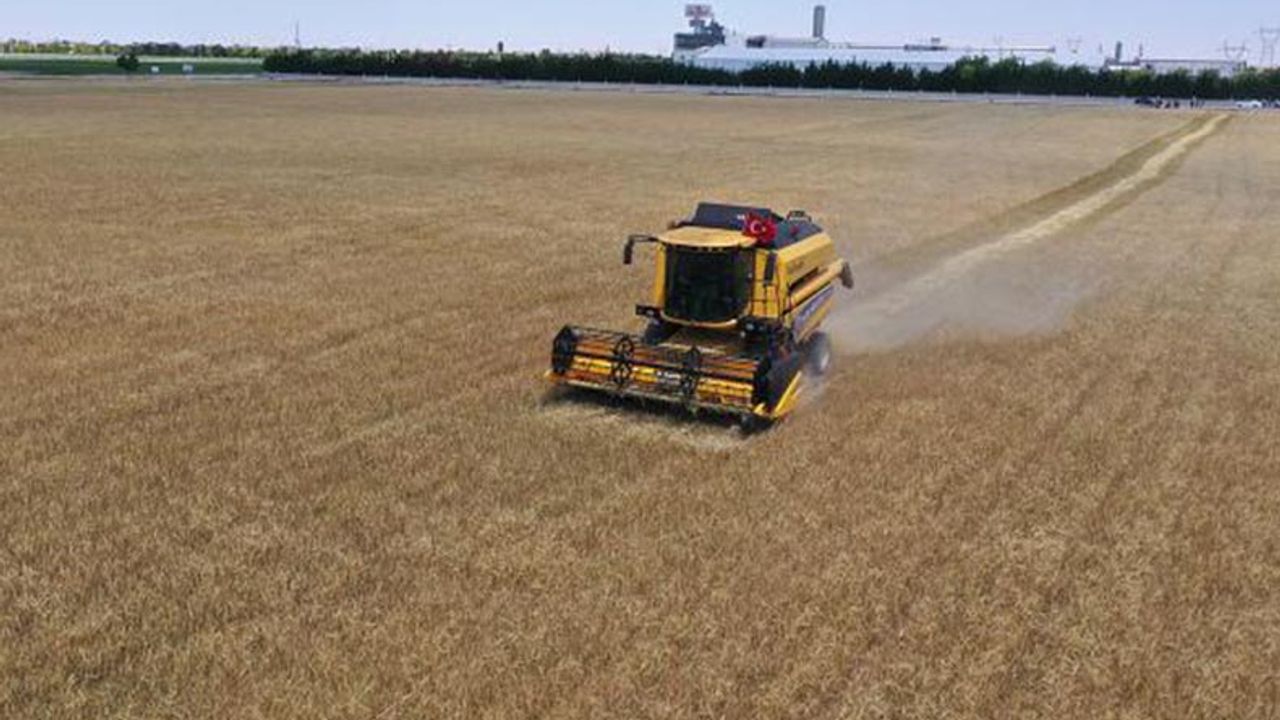 Ticaret Borsası ve TÜRİB'de buğday arpa fiyatları belli oldu! 17 Temmuz hububat fiyatları…