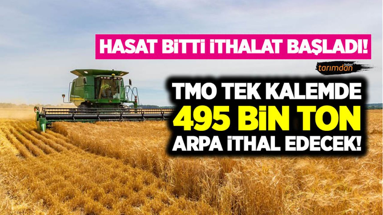 Hasat bitti buğday arpada ithalat dönemi başladı! TMO 11 Ekim'de 495 bin ton arpa ithal edecek!