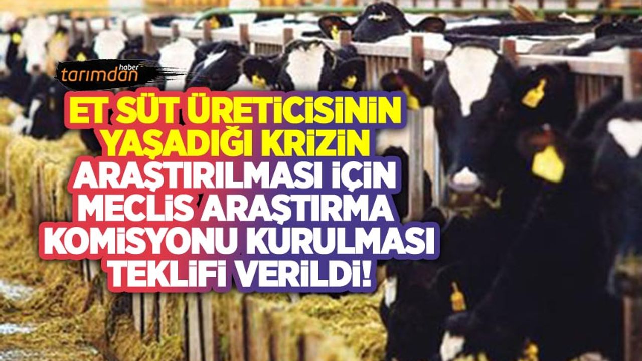 CHP, et ve süt üreticilerinin yaşadığı krizin araştırılması için Meclis Araştırma Komisyonu kurulması teklifi verdi!