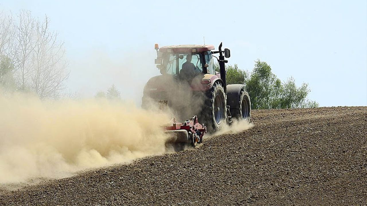 Atıl alanlarda buğday ekimi için çiftçiye 530 ton buğday tohumu dağıtılacak!
