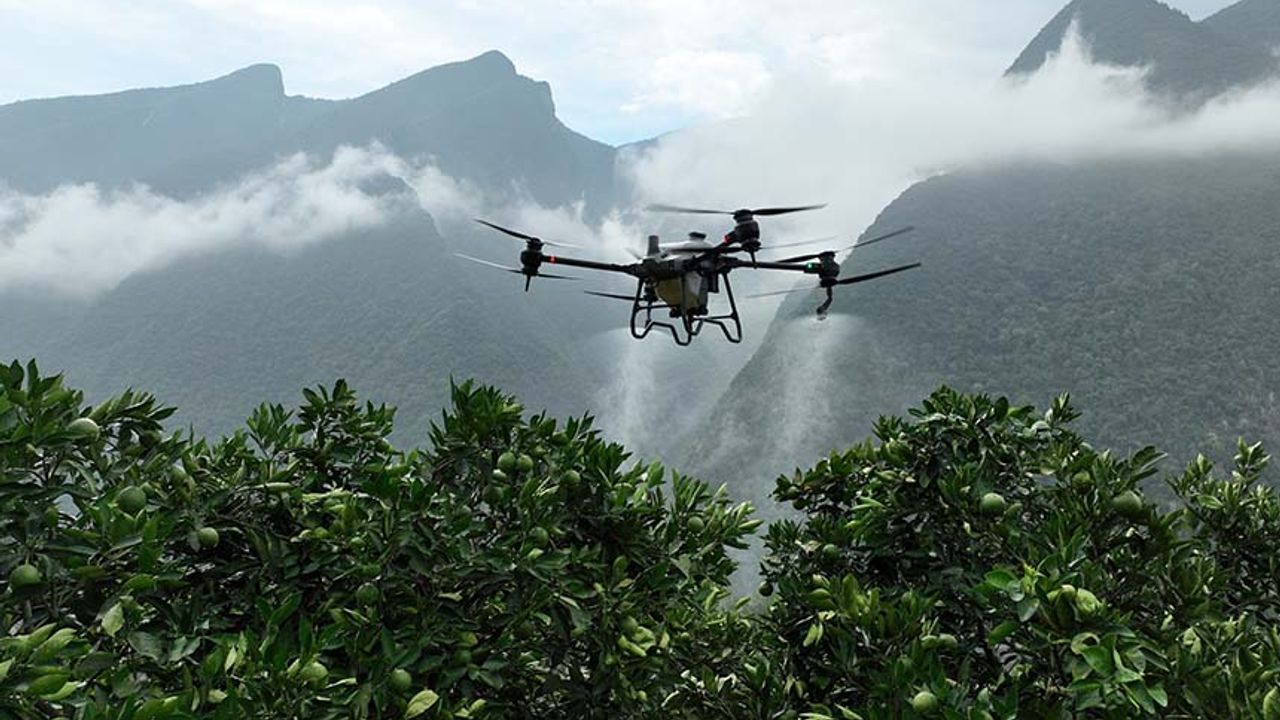 Tarımda dron kullanımı hangi bölgede ve hangi üründe daha yaygın kullanılıyor?