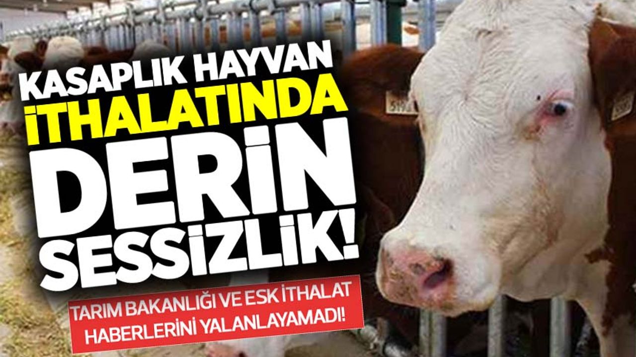 Türkiye kasaplık hayvan mı ithal edecek? Tarım Bakanlığı ve ESK'da derin sessizlik!