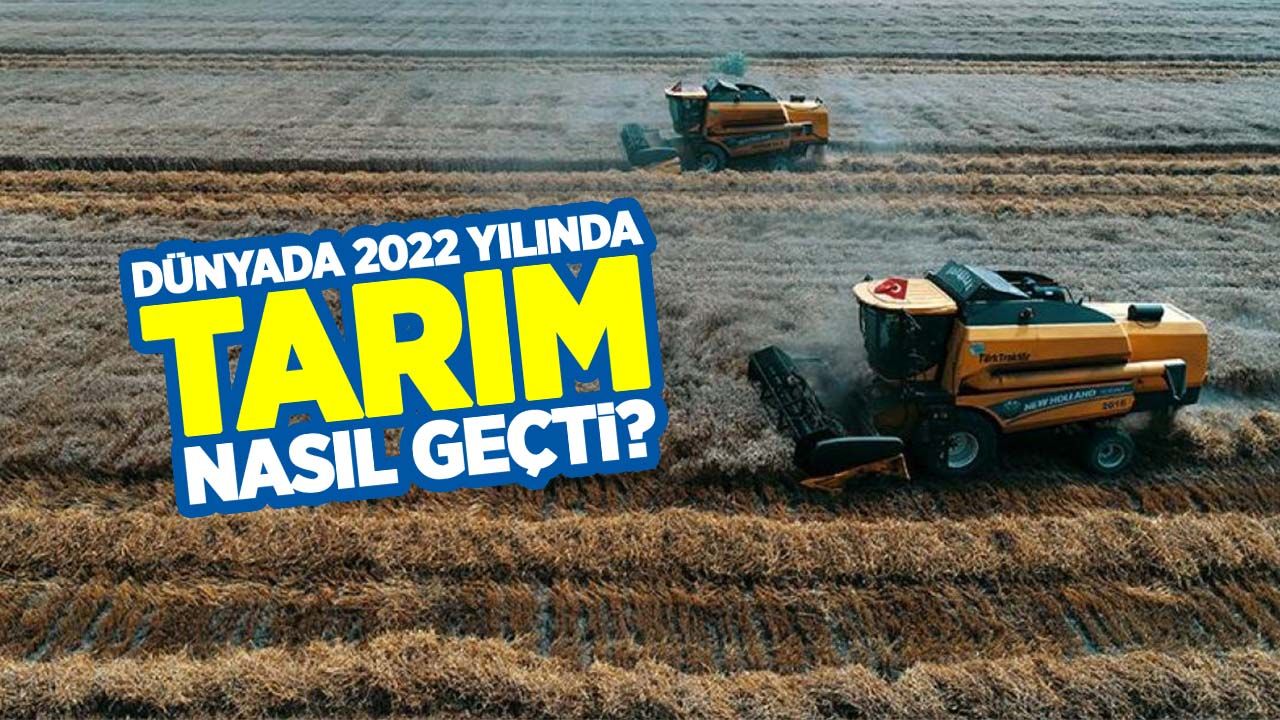 Dünyada, 2022 yılında tarım nasıl geçti?