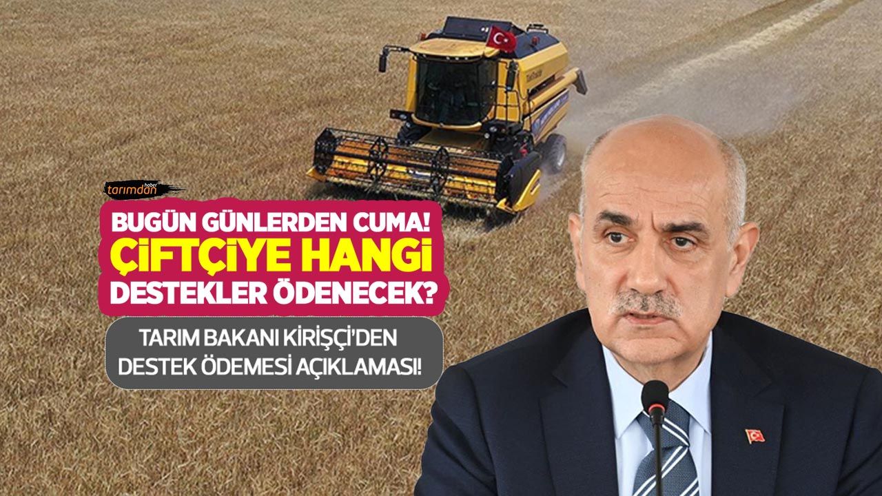 Tarım Bakanı Kirişçi açıkladı: Çiftçiye 3 kalemde toplam 972.3 milyon lira destek ödemesi yapılacak!