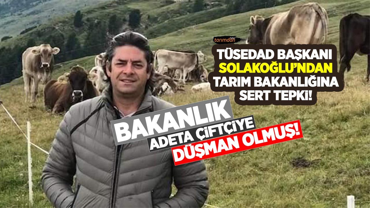 TÜSEDAD Başkanı Solakoğlu'ndan Tarım Bakanlığına sert tepki: 'Bakanlık adeta çiftçiye düşman olmuş!'
