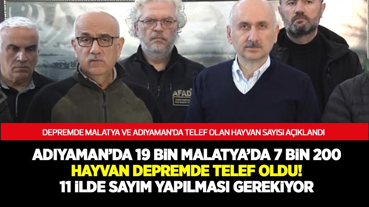 Tarım Bakanı Adıyaman ve Malatya'da depremde telef olan hayvan sayısını açıkladı!
