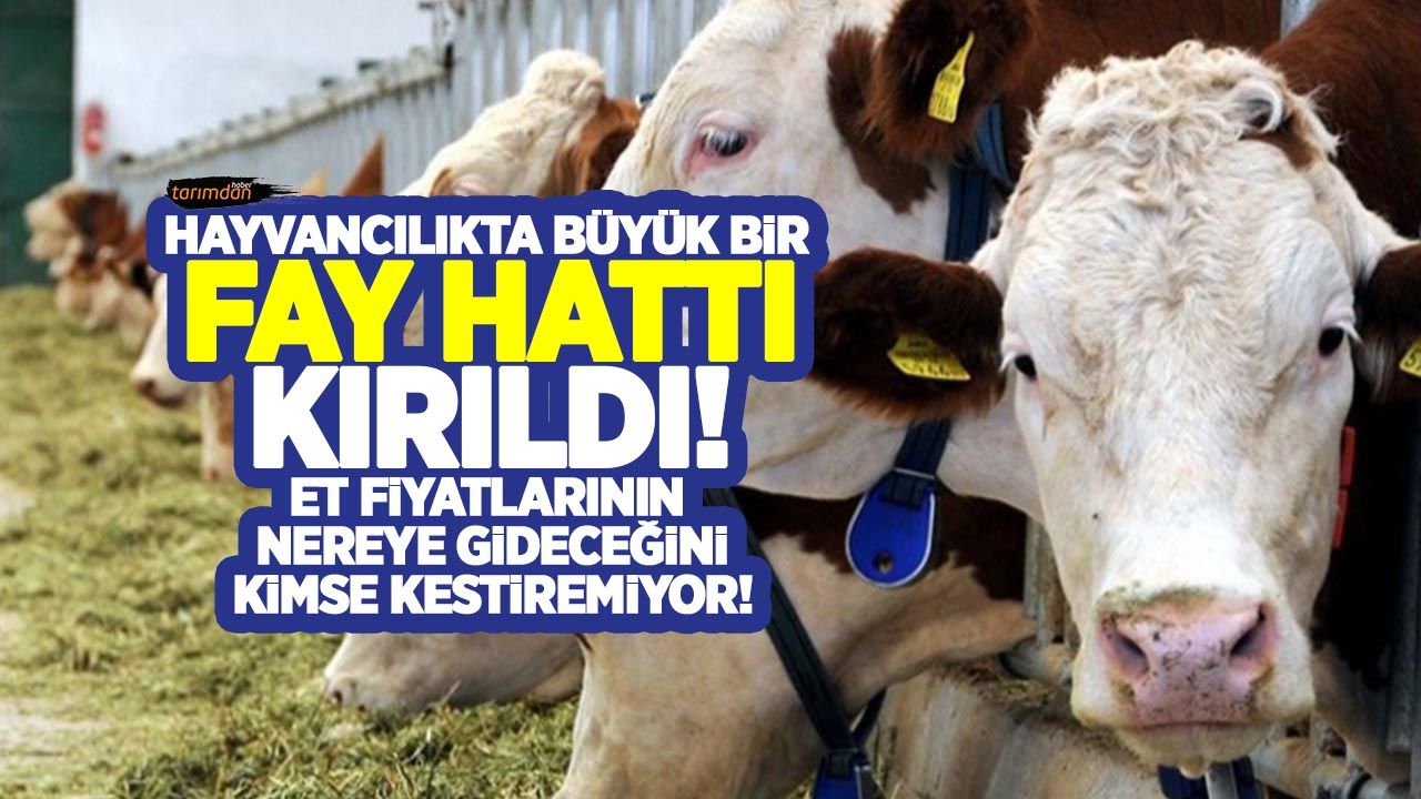 Başkent Ankara'da ESK Genel Müdürlüğü önünde uzun et kuyruğu!