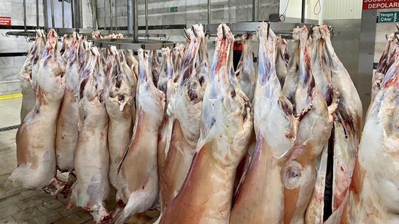 Balıkesir'de üreticilerin desteği ile 600 adet Balıkesir kuzusu kesilerek deprem bölgesine gönderildi