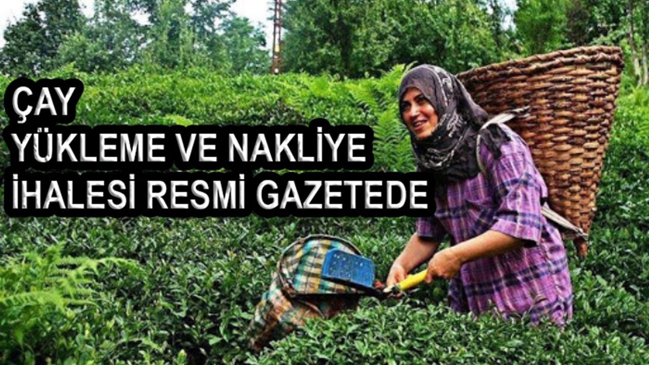 Resmi Gazete'de çay yükleme ve nakliye ihale ilanı yayınlandı!