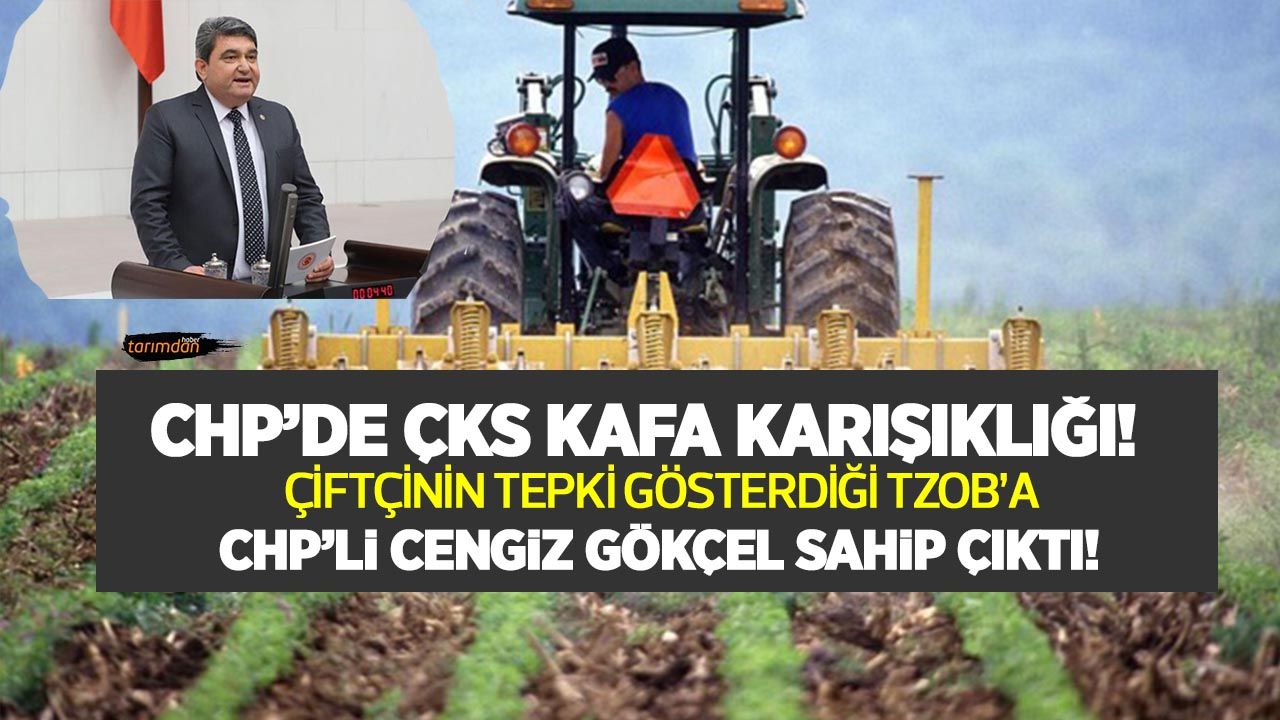 CHP’de ÇKS kafa karışıklığı! Çiftçinin tepki gösterdiği TZOB'a CHP'li Cengiz Gökçel sahip çıktı!