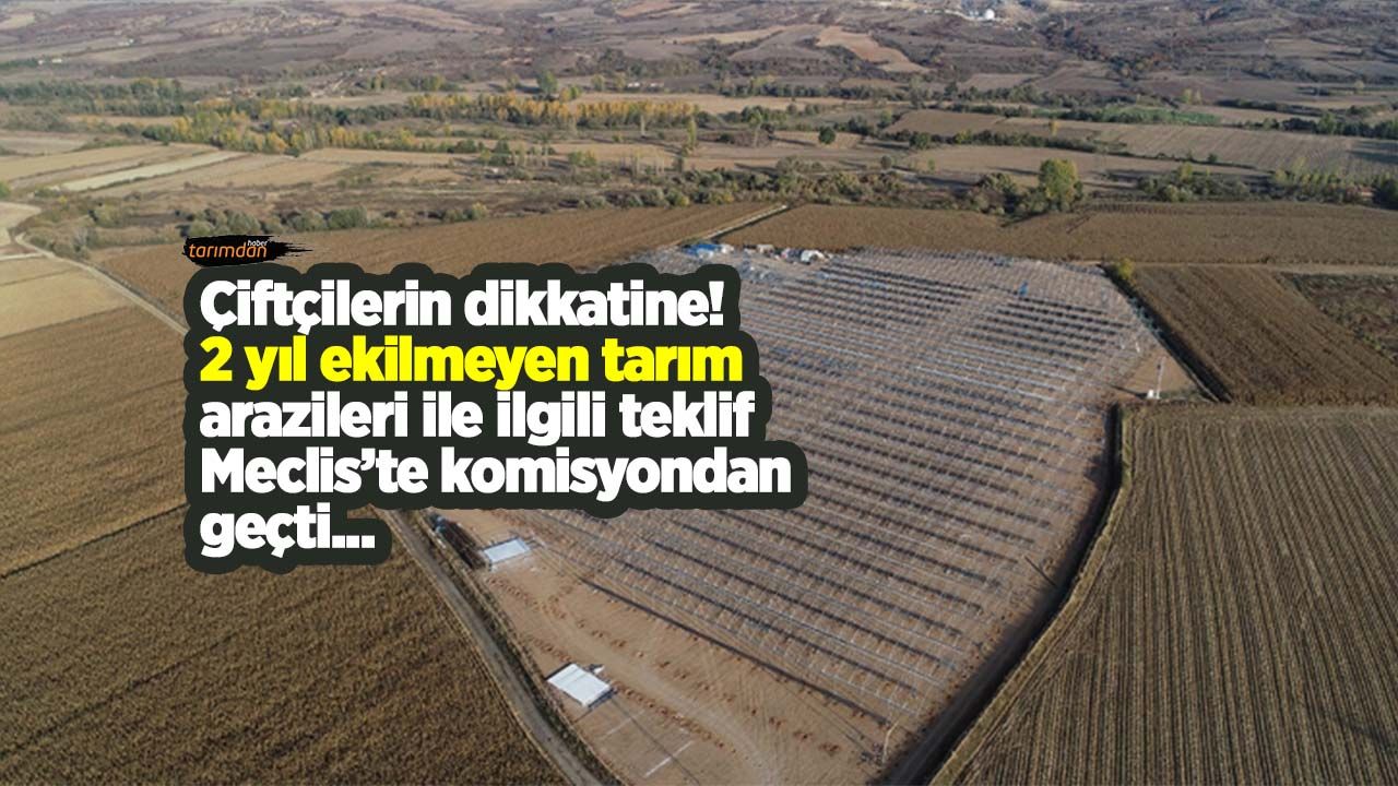 2 yıl üst üste ekilmeyen tarım arazileri Tarım Bakanlığı tarafından kiraya verilecek!