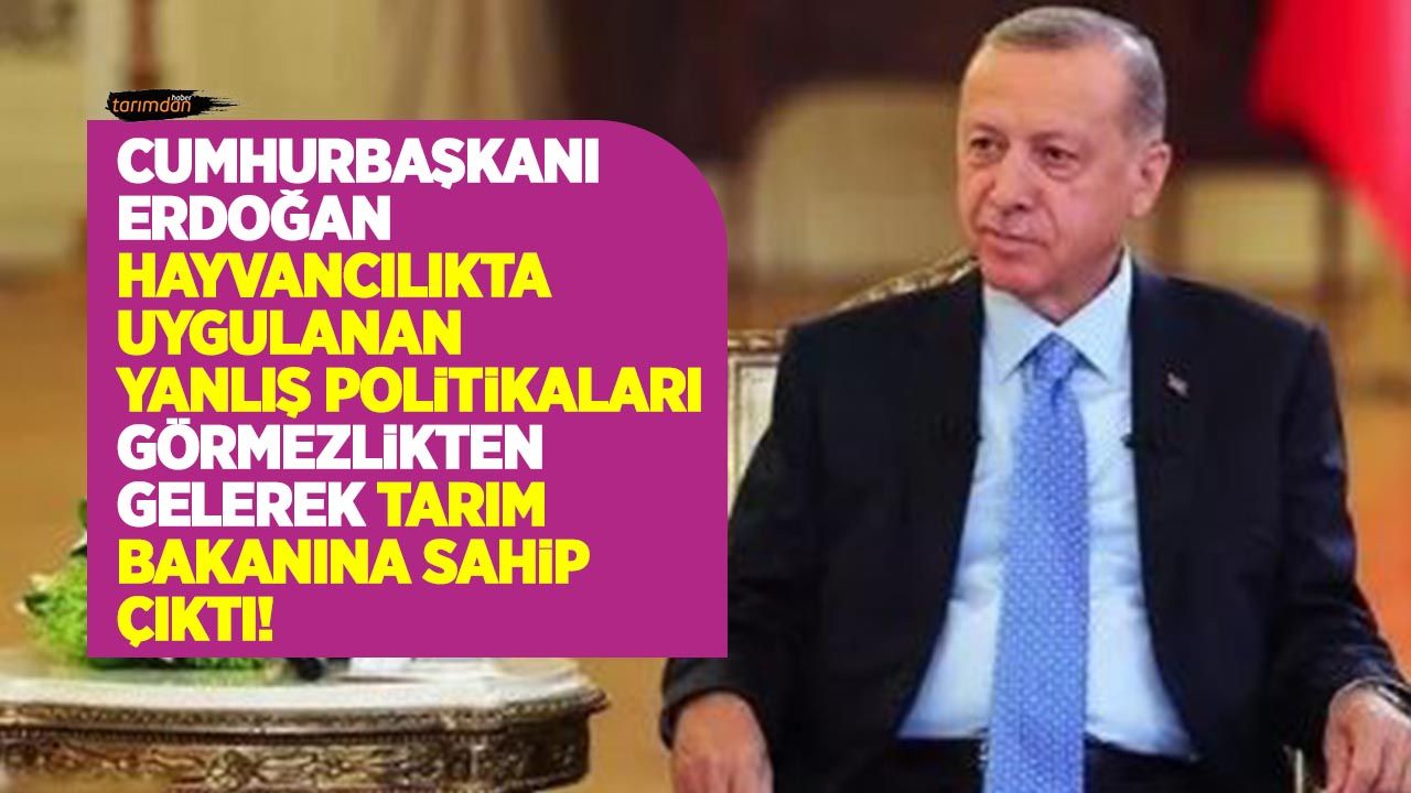 Kıyma ve kuşbaşı et fiyatı ne kadar oldu? Cumhurbaşkanı Erdoğan Bakan Kirişçi’ye sahip çıktı! 