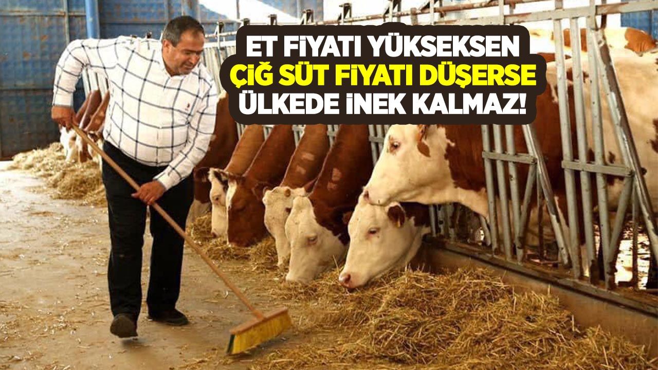 Et fiyatı yüksekken çiğ süt fiyatı düşerse ülkede inek kalmaz!