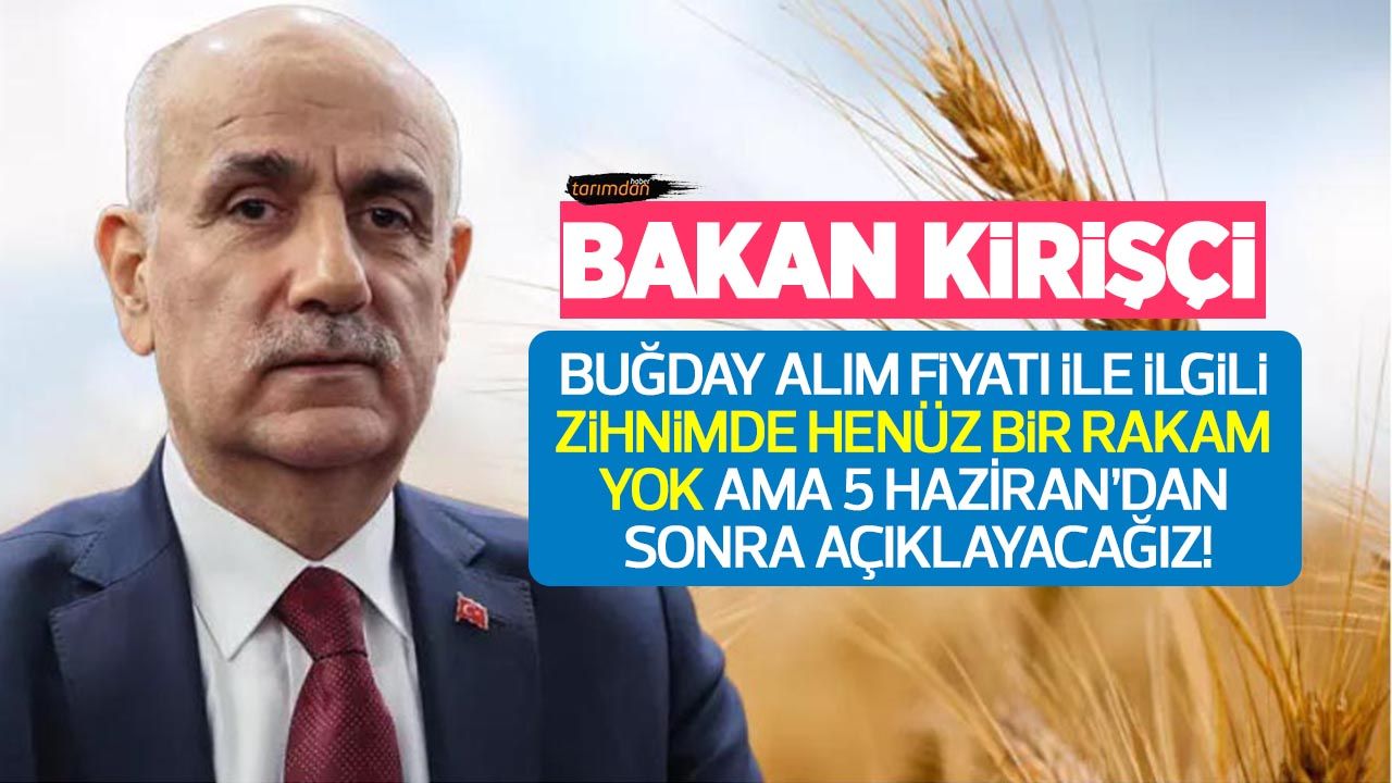 Tarım Bakanı Kirişçi: Buğday alım fiyatı 5 Haziran’dan sonra açıklanacak!