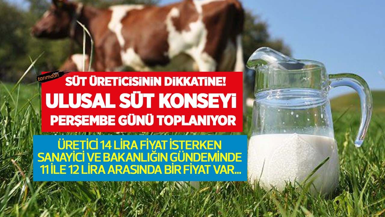 Süt üreticisinin dikkatine! Ulusal Süt Konseyi süt fiyatlarını görüşmek için toplanacak!