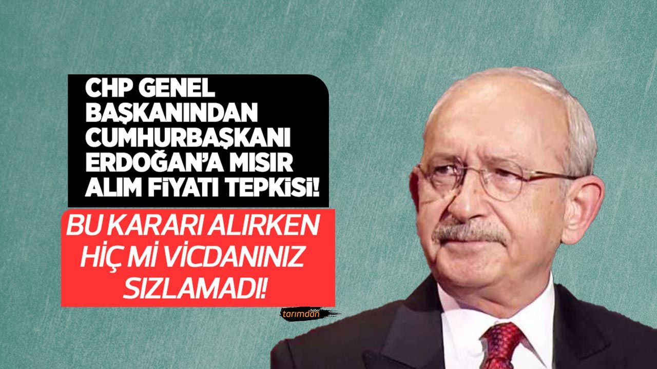 CHP Genel Başkanı Kılıçdaroğlu'ndan Cumhurbaşkanı Erdoğan'a mısır tepkisi! Bu kararı alırken hiç mi vicdanınız sızlamadı