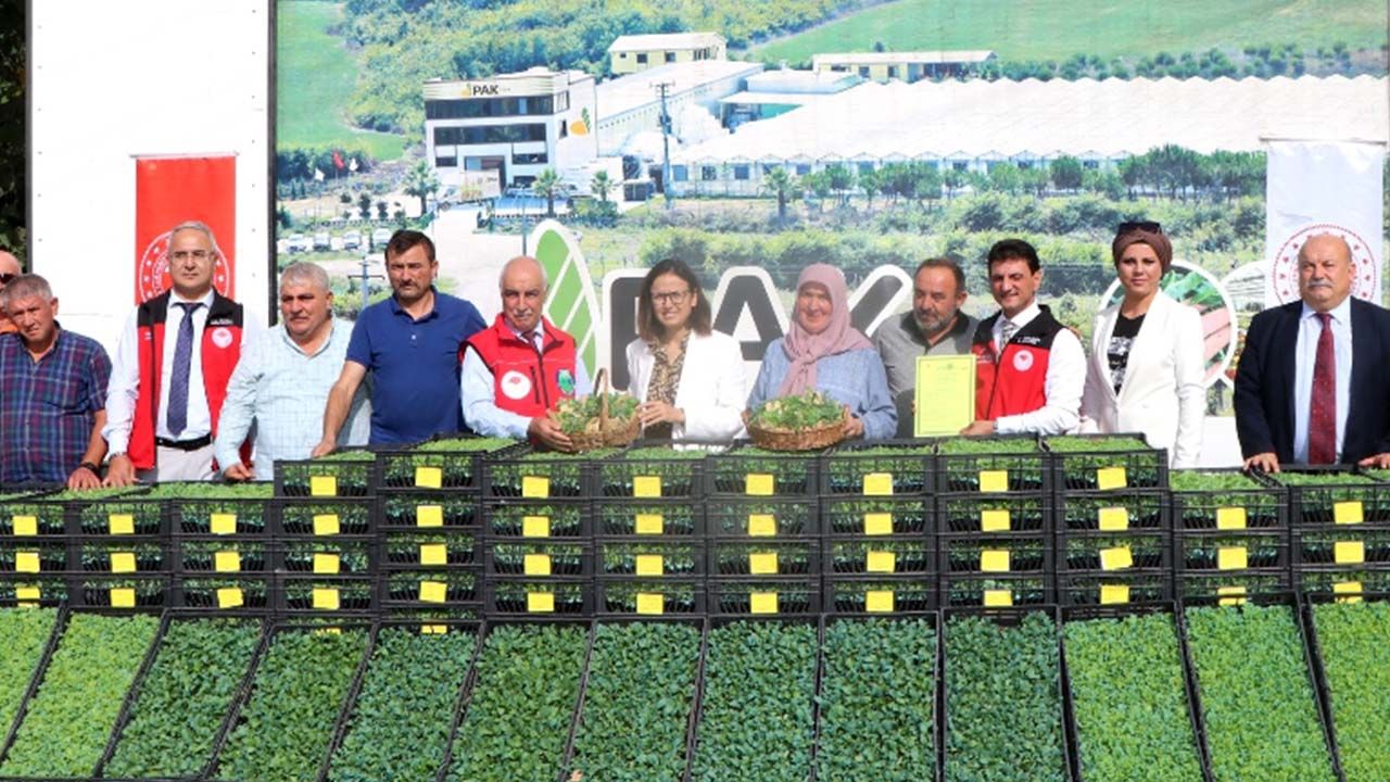 Çiftçiye 'Kent Tarımı' desteği! 52 çiftçiye kışlık sebze fidesi dağıtıldı!