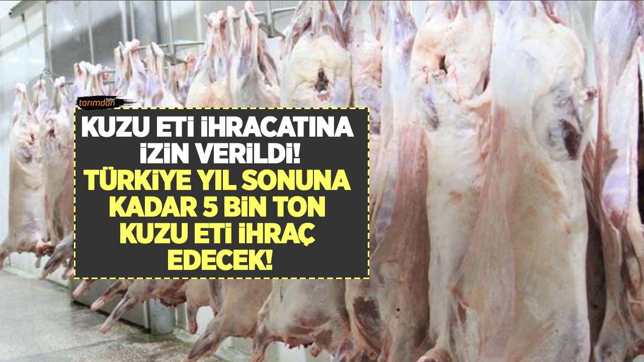 Kuzu karkas eti ihracatına izin verildi! Türkiye yılsonuna kadar 5 bin ton kuzu eti ihraç edecek!