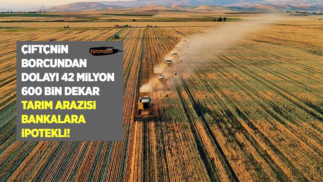 Türkiye'de 42 milyon 360 bin dekar tarım arazisi bankalara ipotekli!