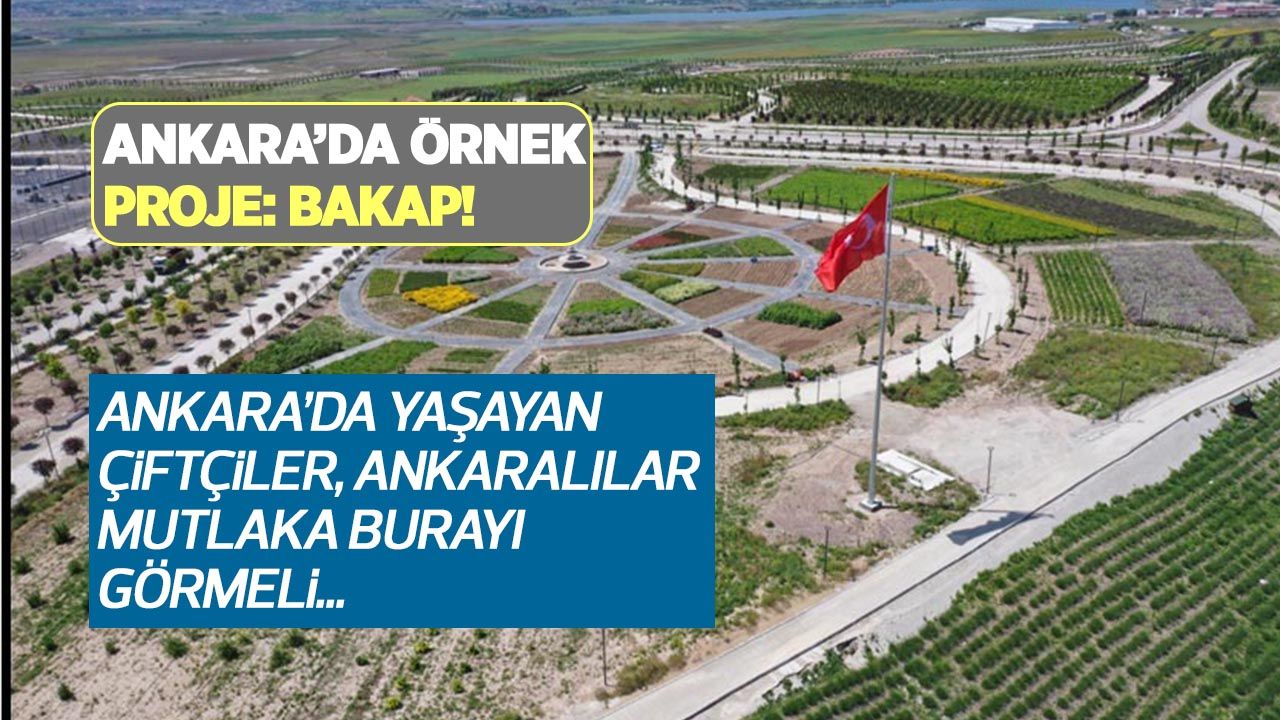 Ankara'da örnek proje: BAKAP!