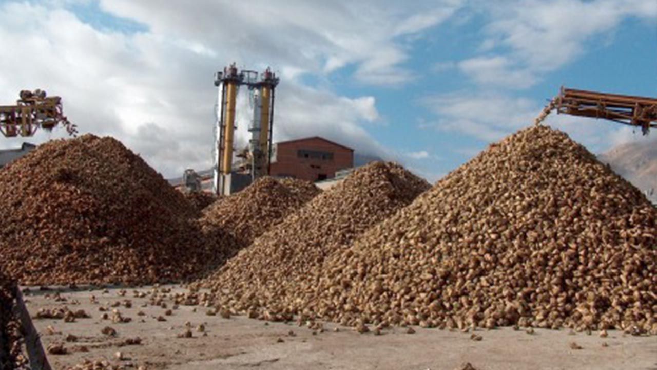 Küresel şeker üretiminin 8 milyon ton artacağı tahmin ediliyor