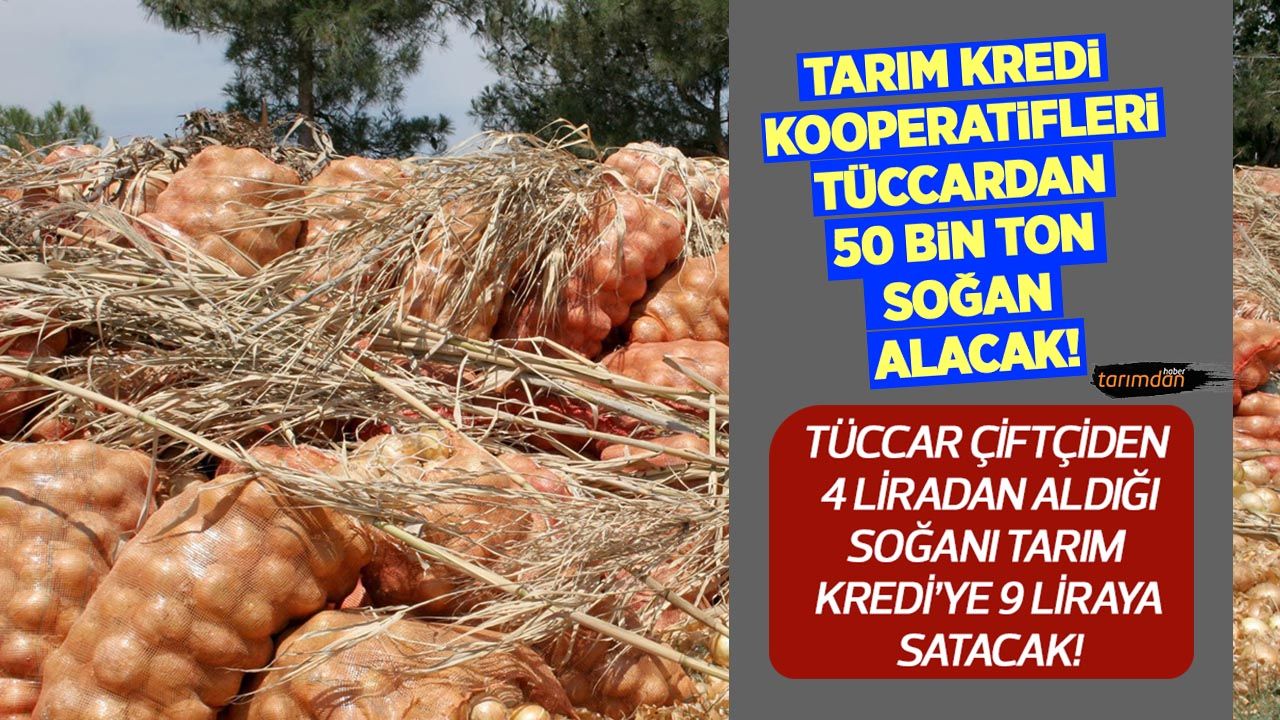 Tarım Kredi Kooperatifleri tüccardan 9 liradan 50 bin ton soğan alacak!