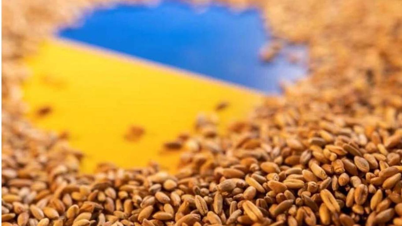Ukrayna’da buğday çiftçiye kar getirmeyecek!