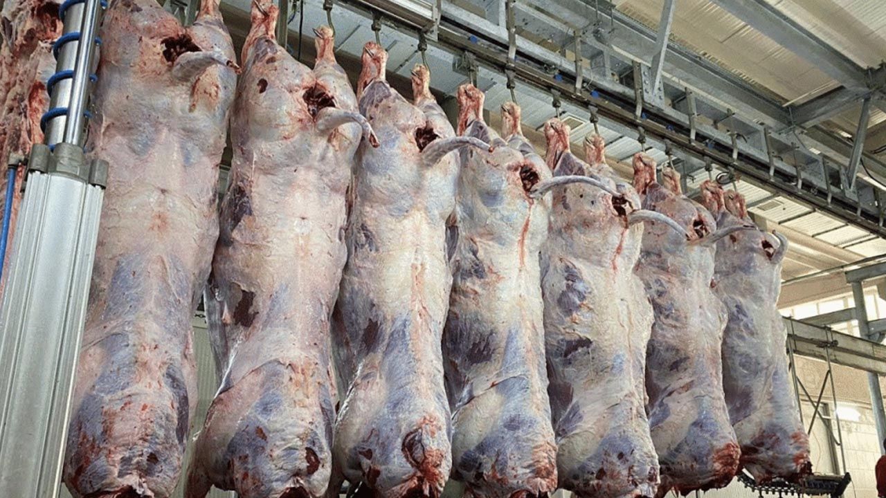 Karkas kesim fiyatı 275 liraya çıktı! Kuzu eti karkas fiyatı da 290 lirayı gördü!