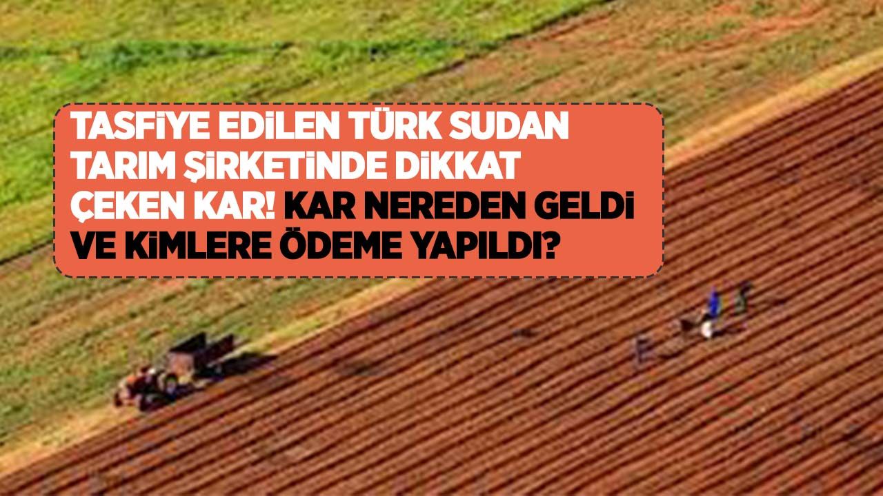 Tasfiye edilen Türk Sudan Tarım Şirketinde dikkat çeken kar! Kar nereden geldi ve kimlere ödeme yapıldı?