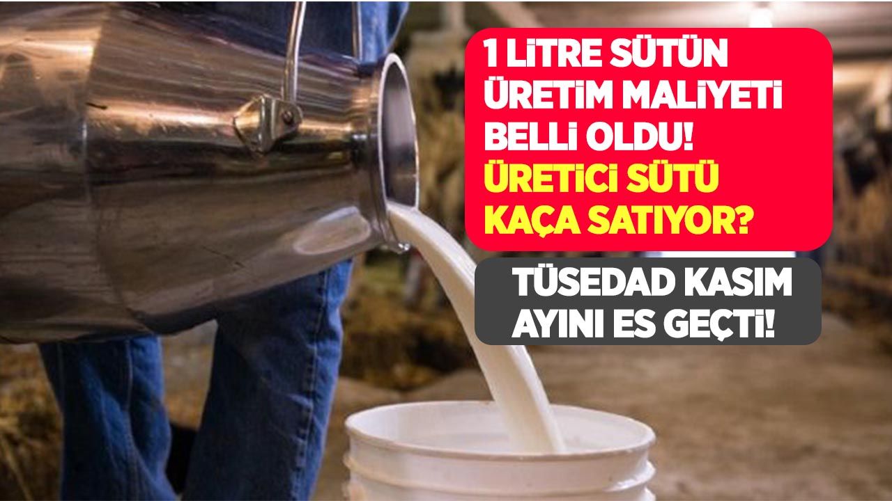 USK'ya göre Kasım ayında çiğ süt üretim maliyeti 56 kuruş arttı! TÜSEDAD Kasım ayı maliyet fiyatını açıklamadı!