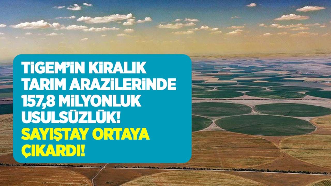 TİGEM’in kiralık tarım arazilerinde 157,8 milyonluk usulsüzlük! Sayıştay ortaya çıkardı!