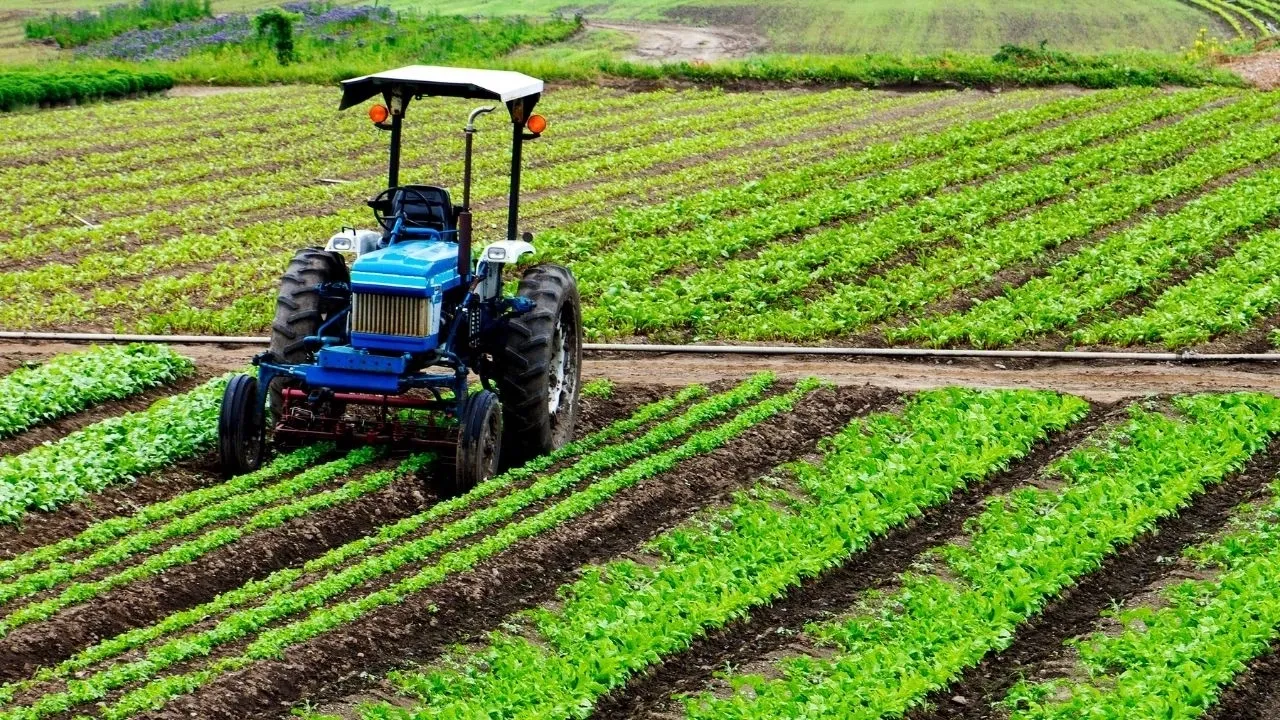 Tarımsal Girdi Fiyat Endeksi arttı... Yıllık artış yüzde 38,82 oldu