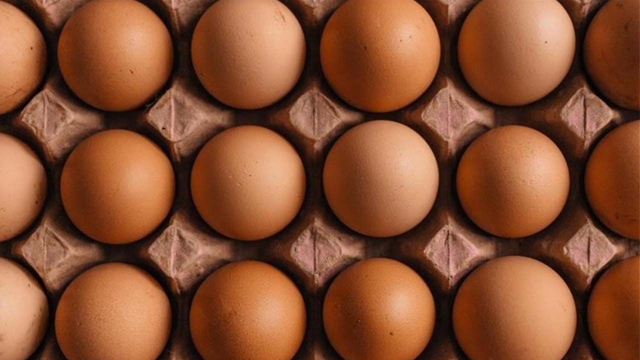 Türkiye, Rusya'ya gerekli miktarda yumurta gönderecek!