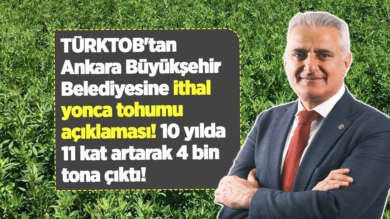 TÜRKTOB'tan Ankara Büyükşehir Belediyesine ithal yonca tohumu açıklaması! 10 yılda 11 kat artarak 4 bin tona çıktı!