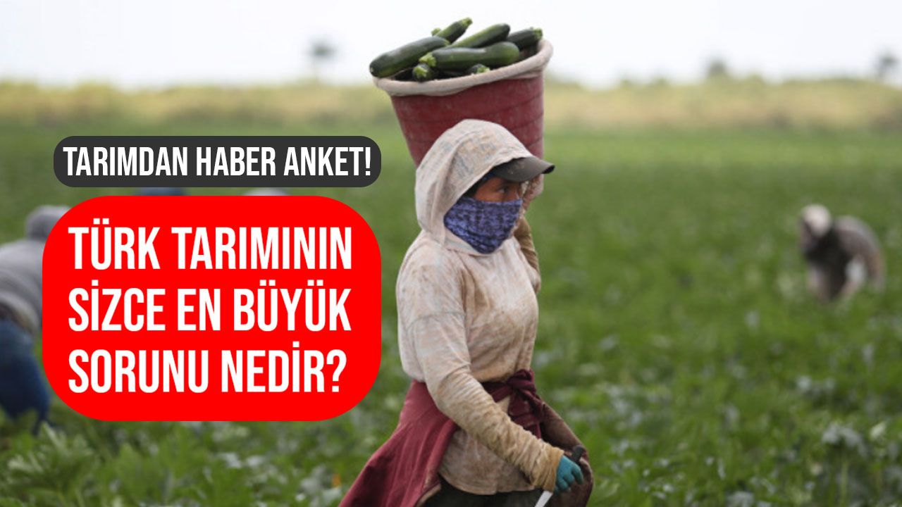 Türk tarımının sizce en büyük sorunu nedir?